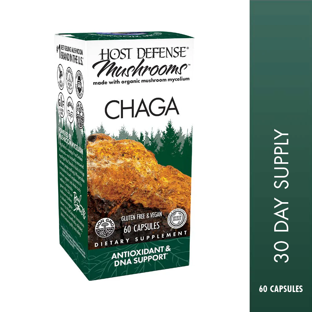 Chaga Capsules - Image 10