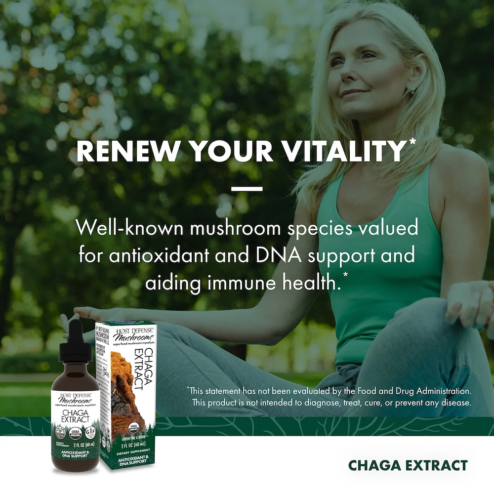 Chaga Extract - Image 5