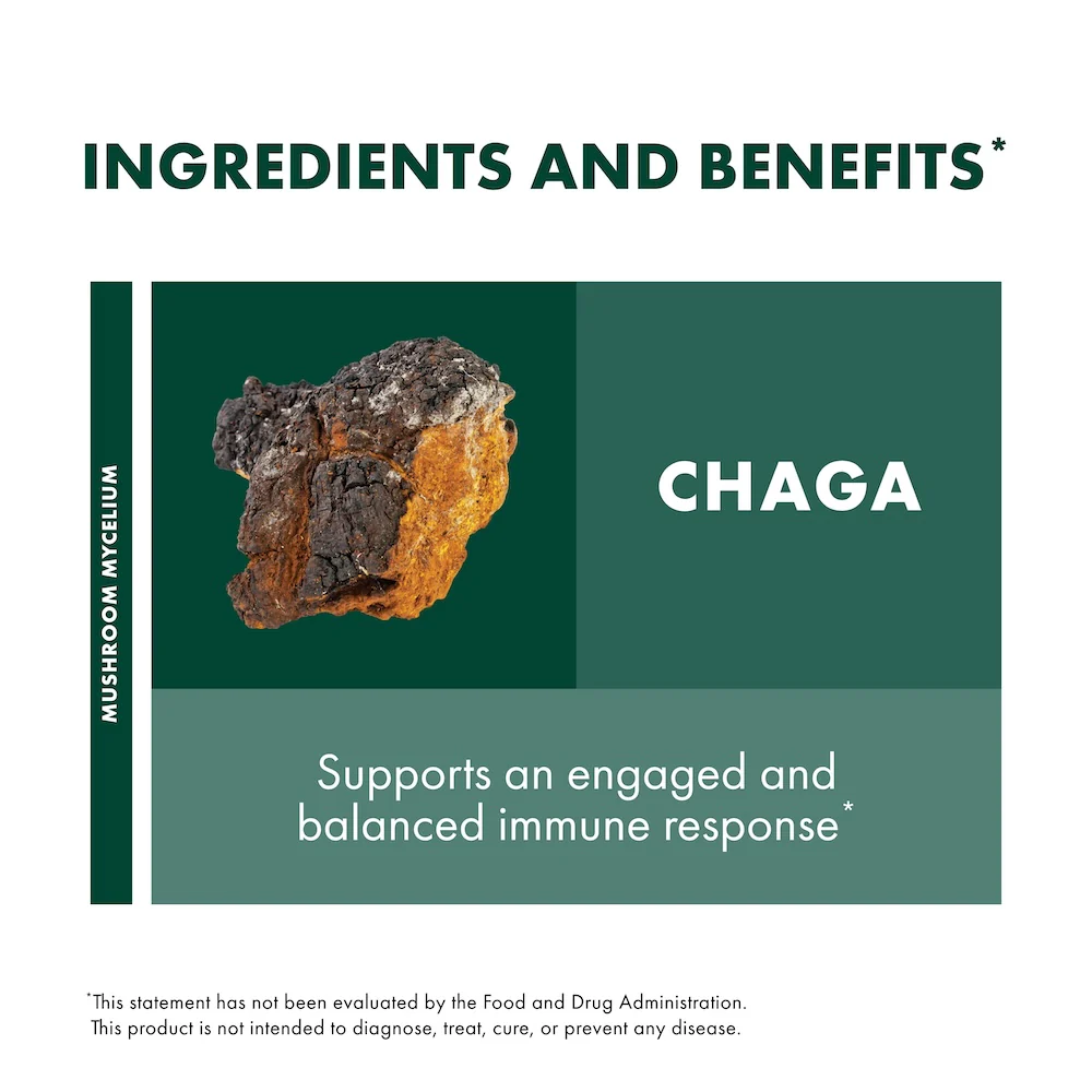 Chaga Extract - Image 6