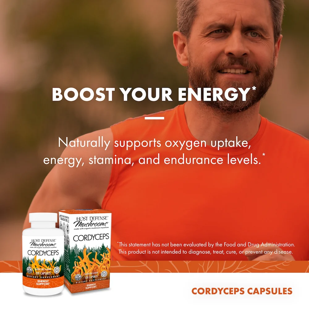 Cordyceps Capsules - Image 20