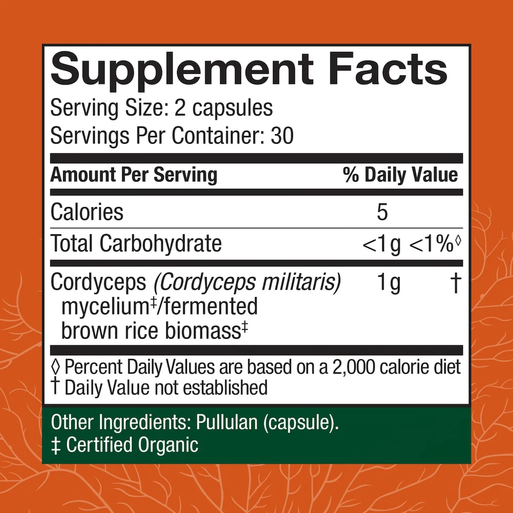Cordyceps Capsules - Image 3