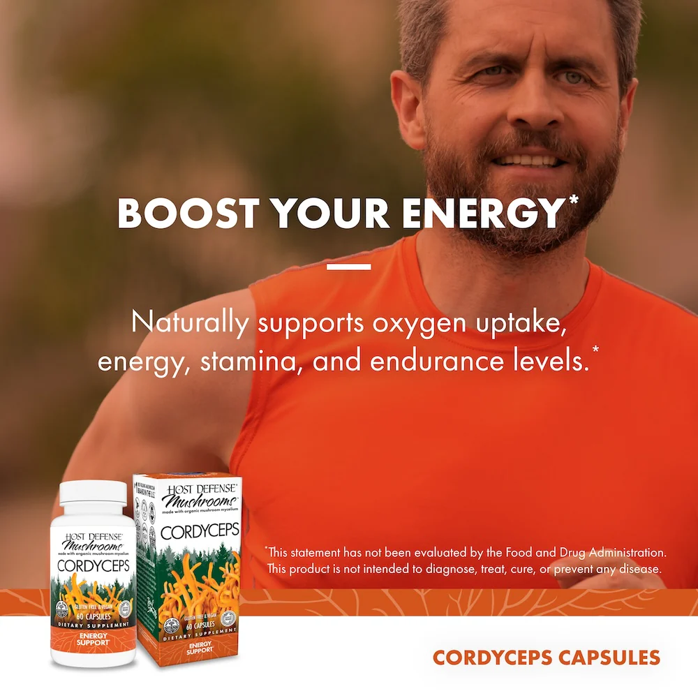 Cordyceps Capsules - Image 4