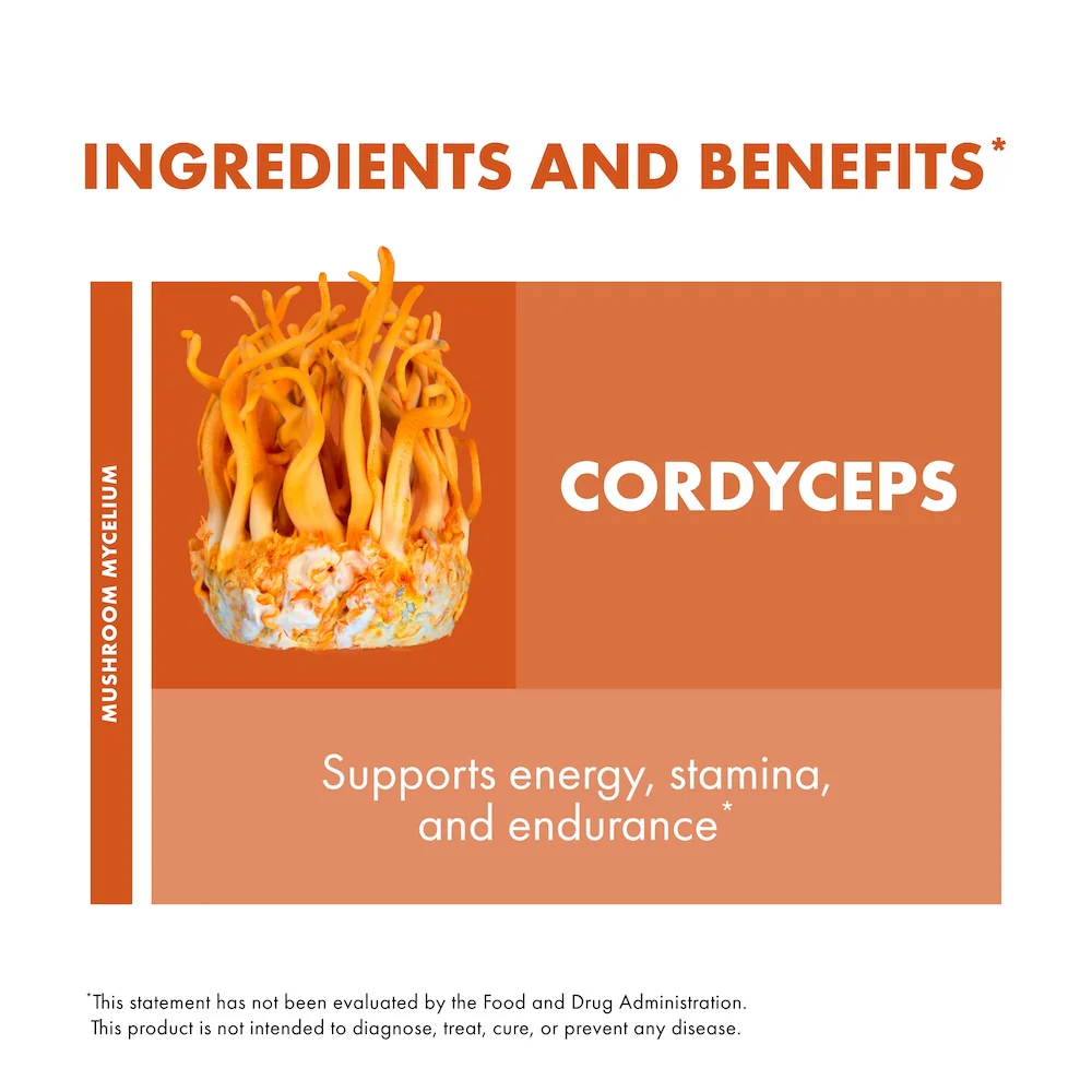 Cordyceps Capsules - Image 5