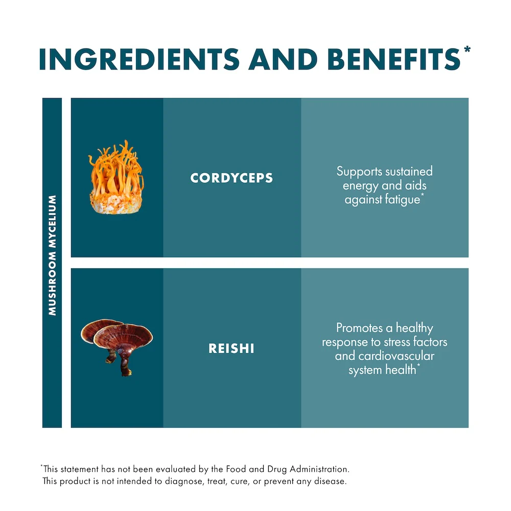 CordyChi® Extract - Image 13