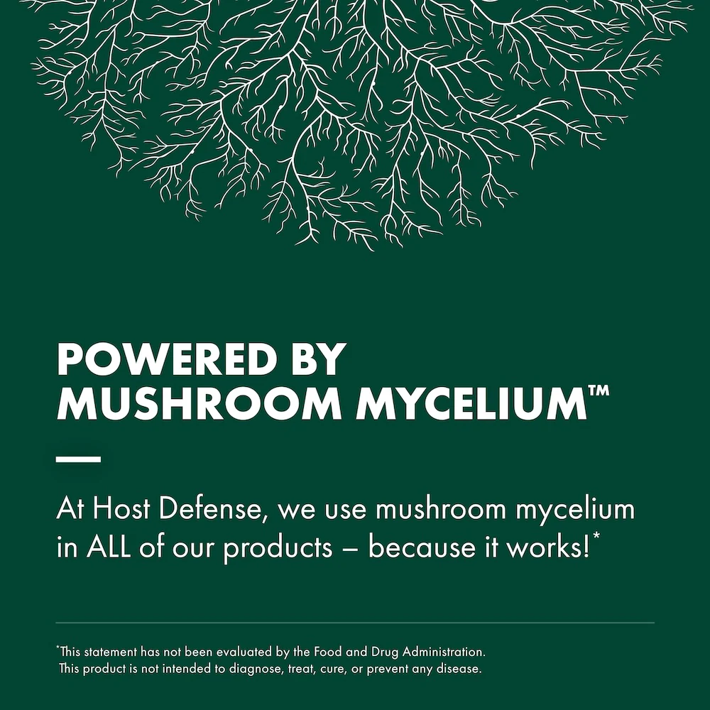 Maitake Extract - Image 7