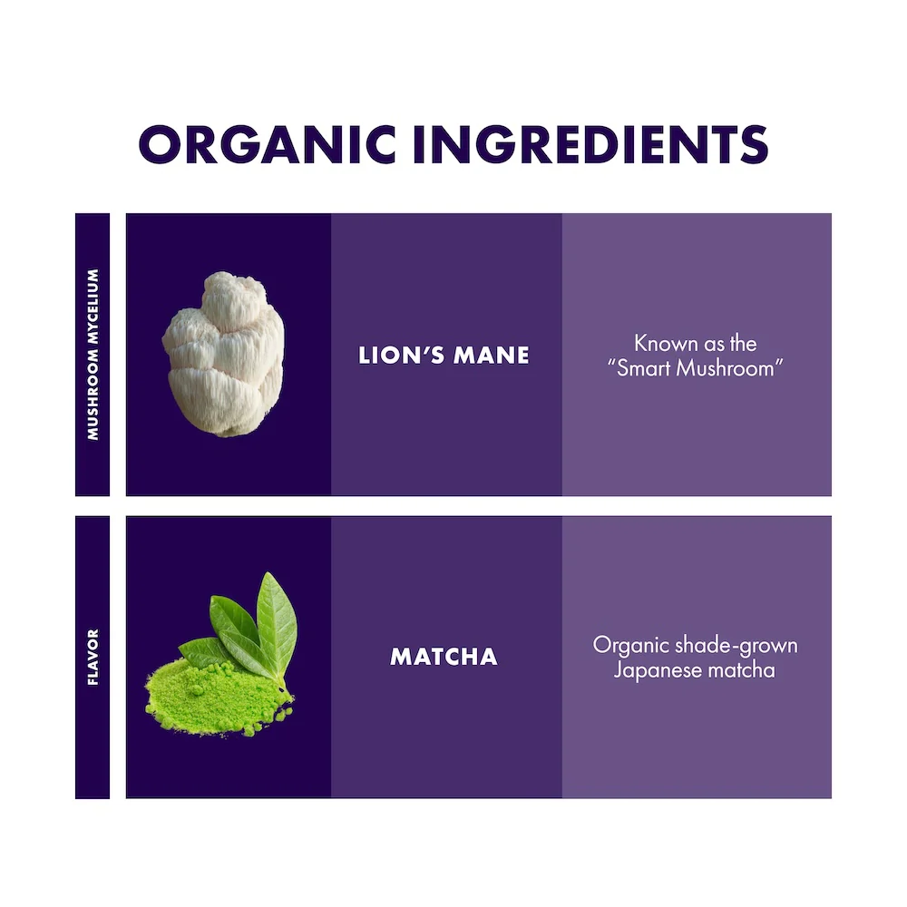 MycoBrew® Matcha - Image 13