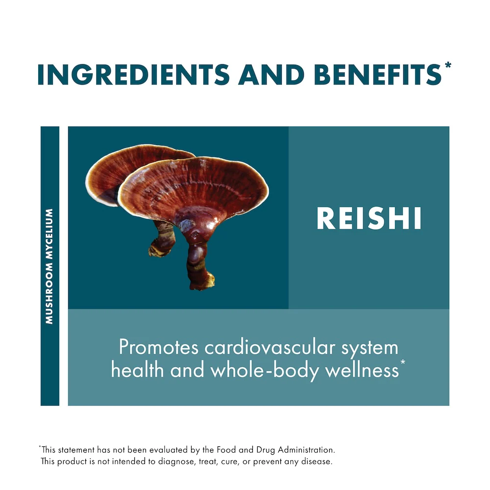 Reishi Extract - Image 5