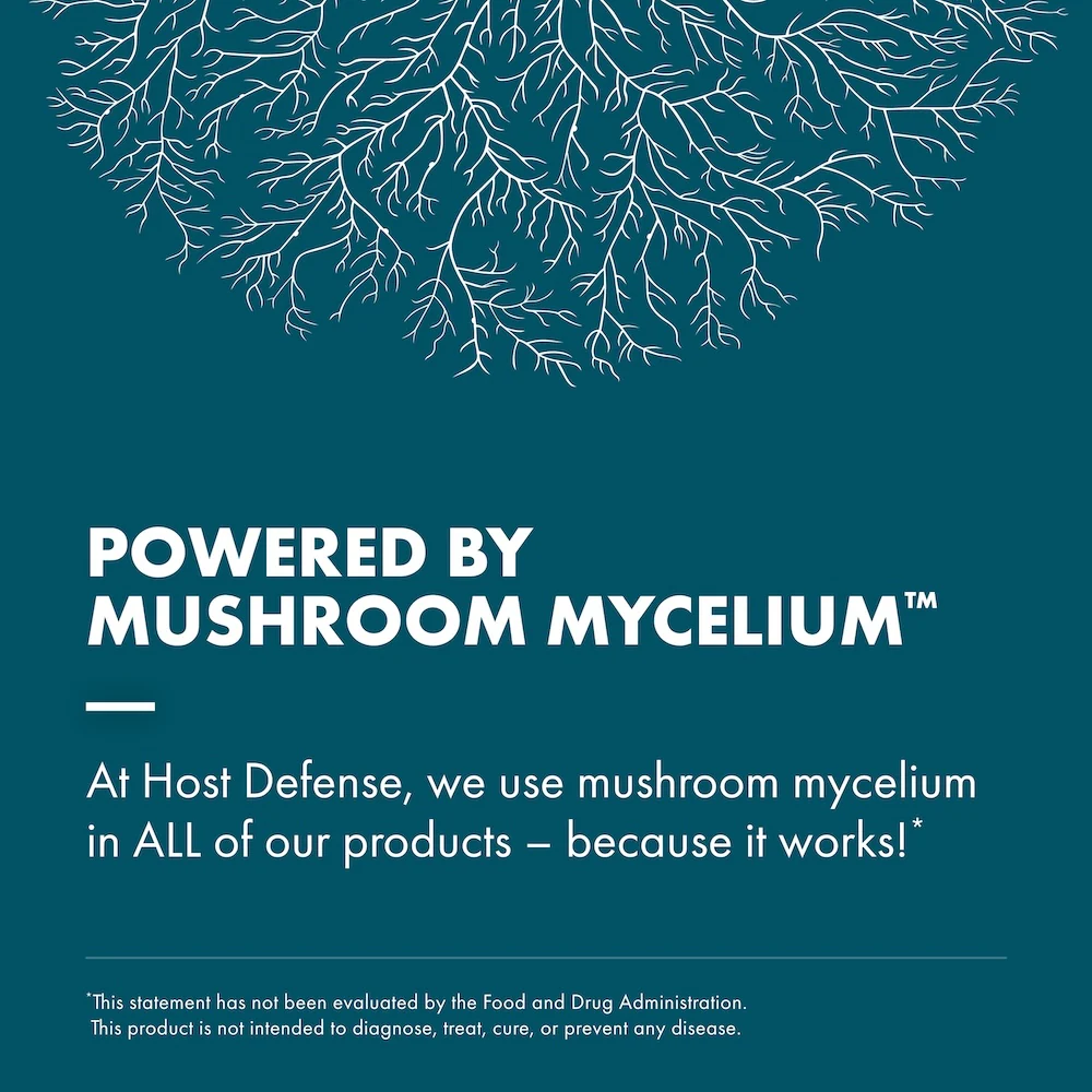 Reishi Extract - Image 7