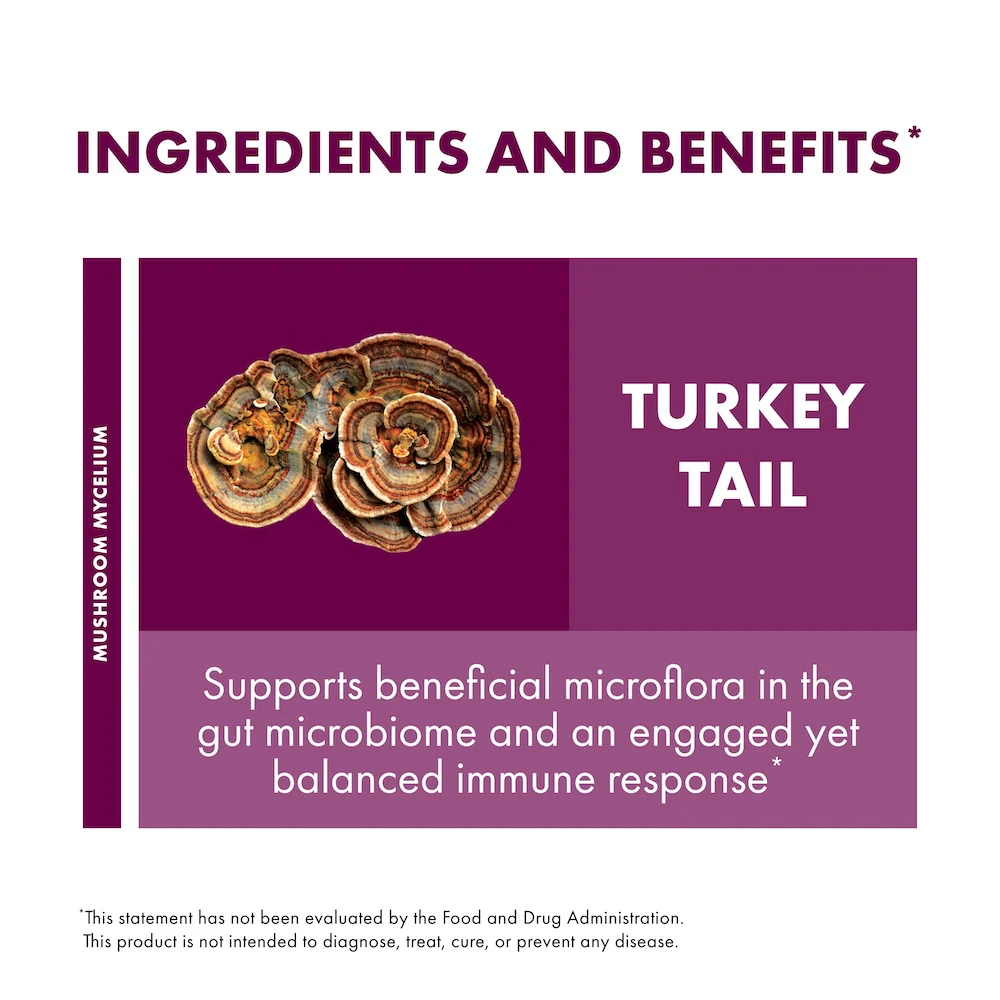 Turkey Tail Capsules - Image 21