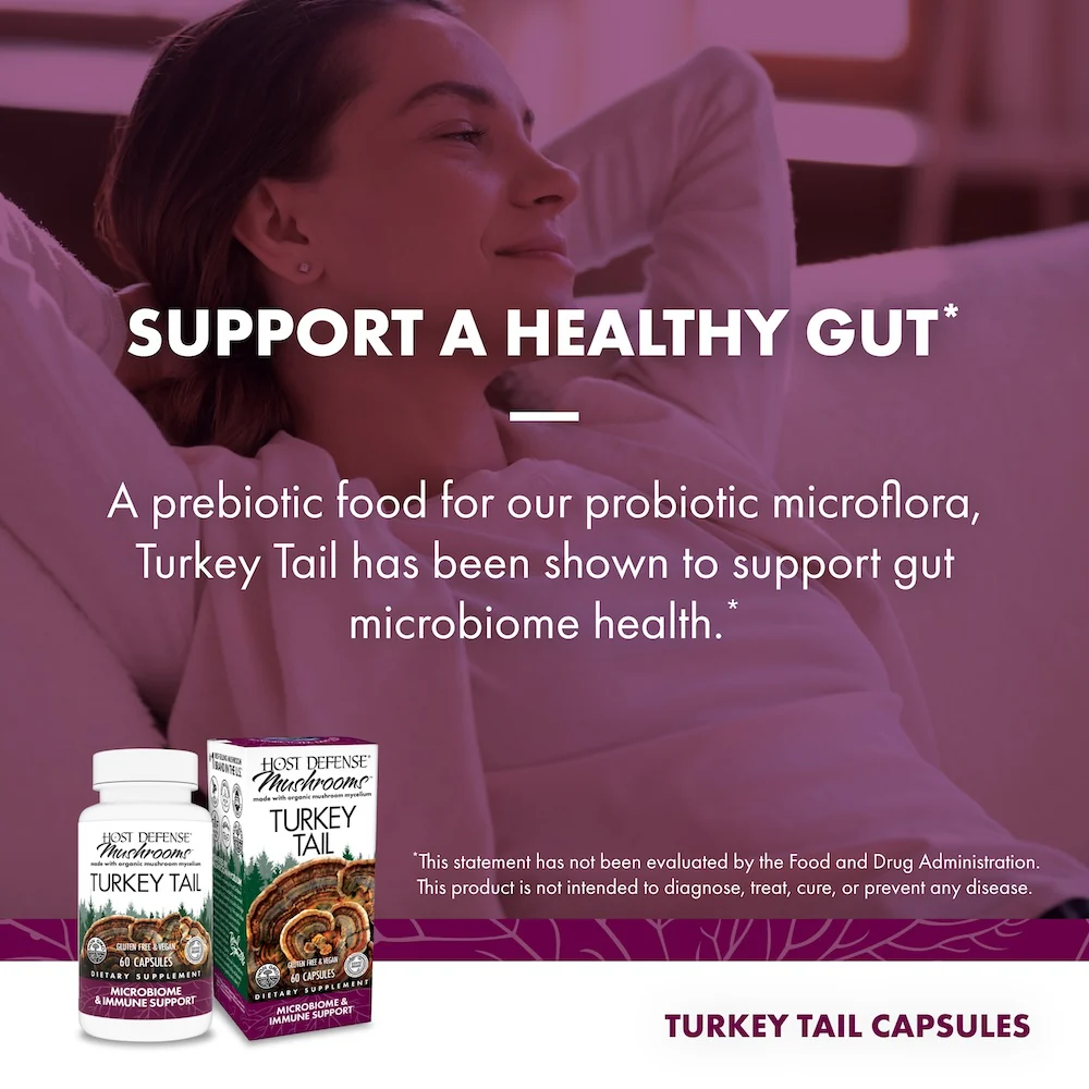 Turkey Tail Capsules - Image 4