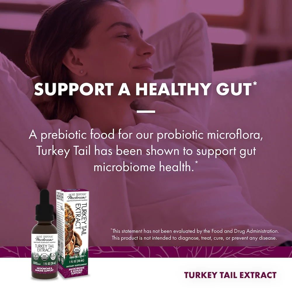 Turkey Tail Extract - Image 12