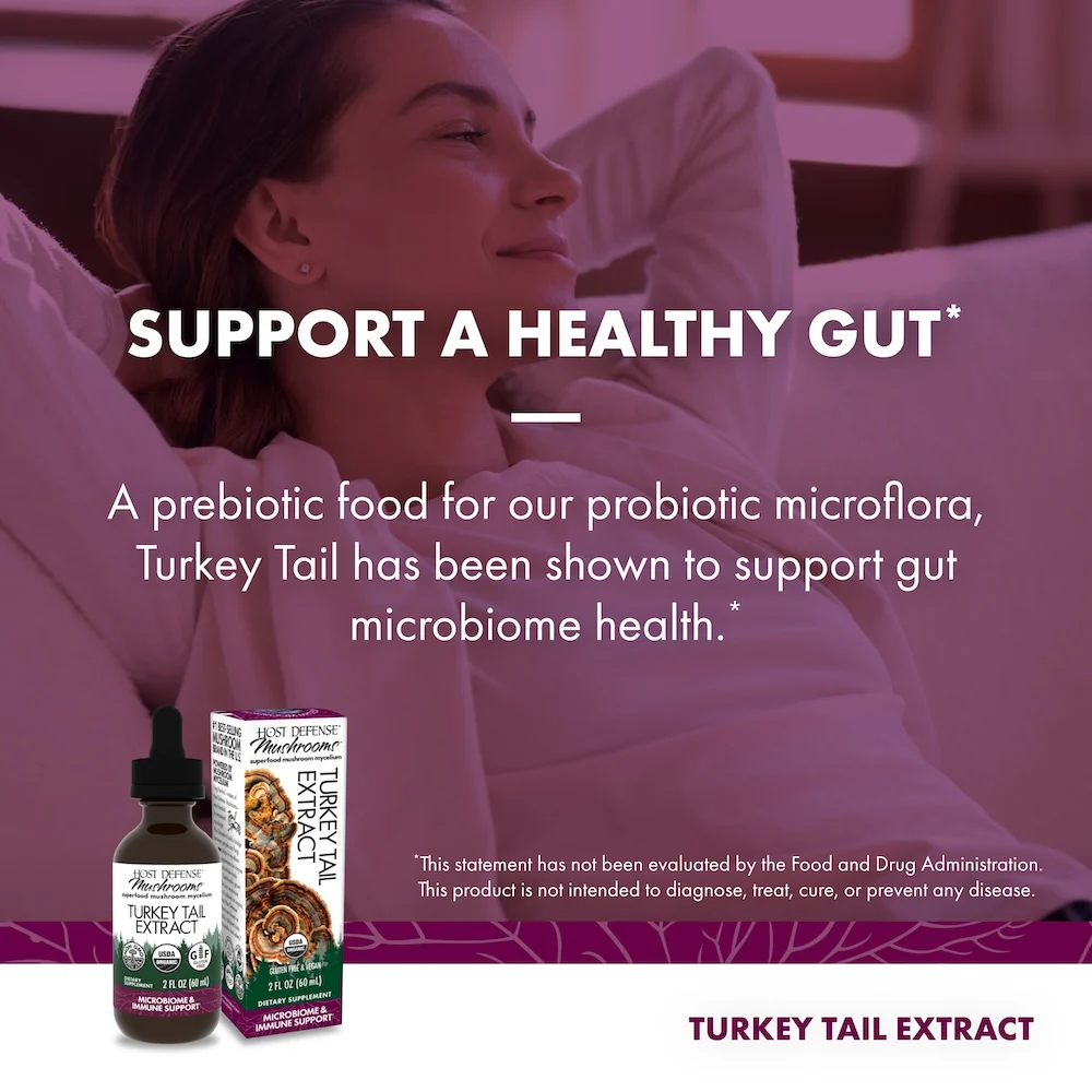 Turkey Tail Extract - Image 4