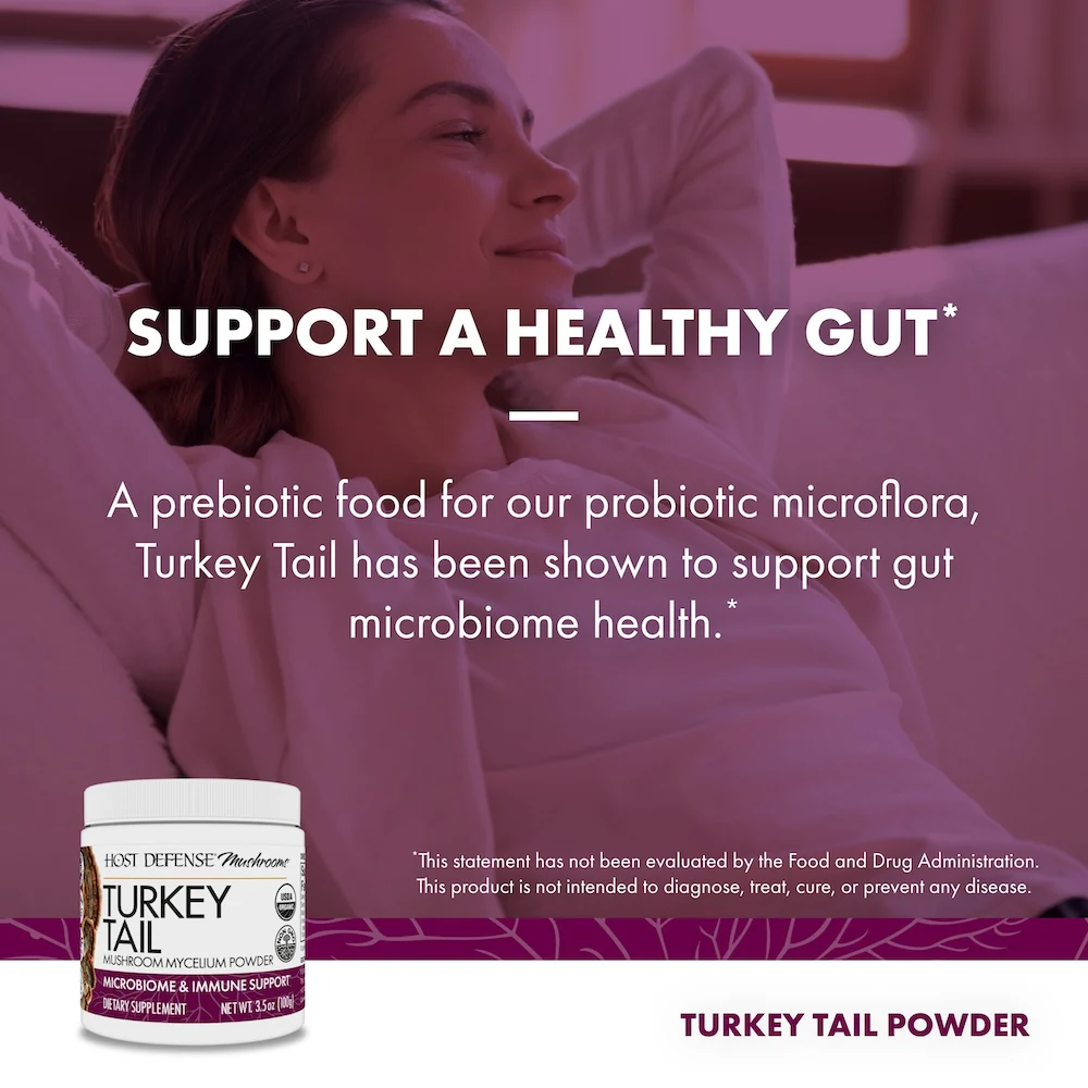 Turkey Tail Powder - Image 12