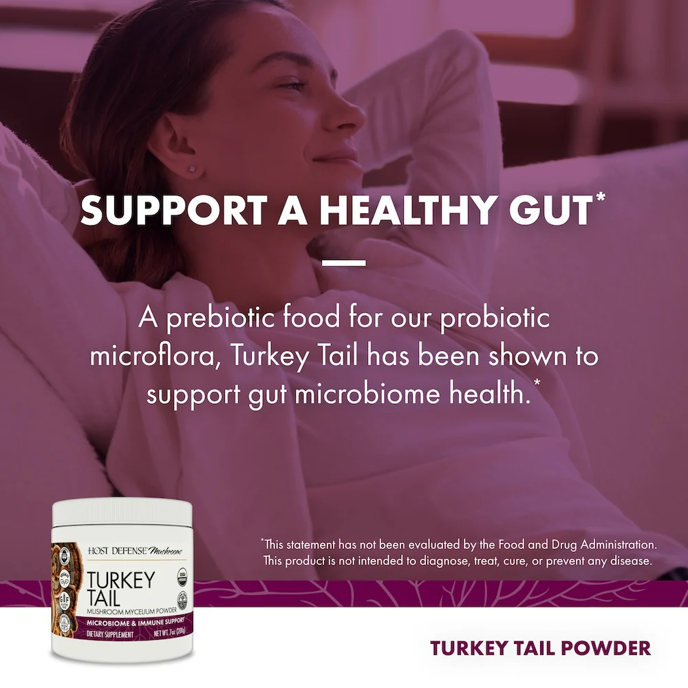 Turkey Tail Powder - Image 4